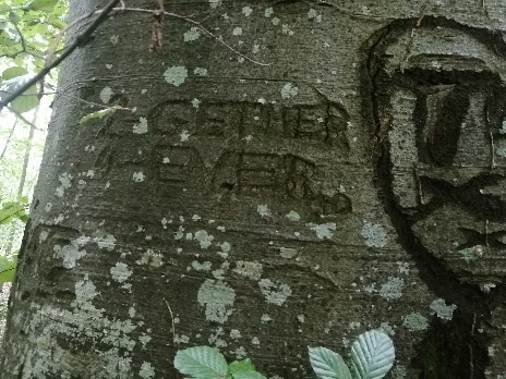 dans un coeur